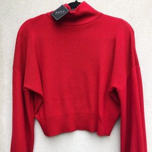 A NEVER worn ZAFUL cropped sweater! 🍒